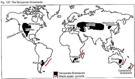 Temperate Grassland Map 2022