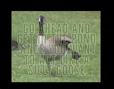 Goostory- Goose Virus-Part3 : r/GooseWatchers