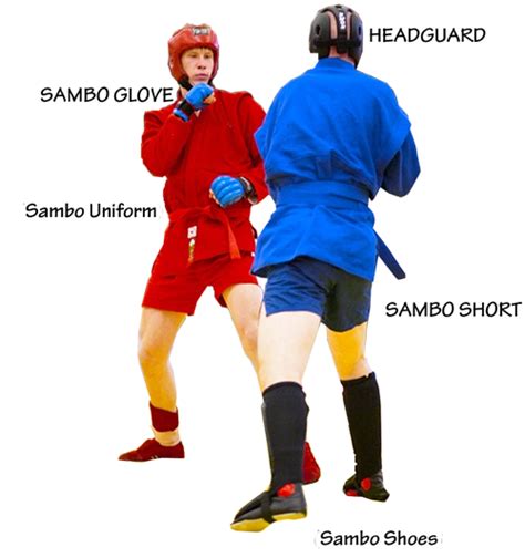 Combat Sambo Mixed Martial Arts | Fighter Sport Club