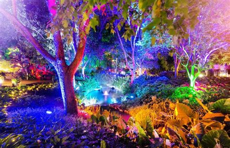 The Enchanted Garden Brisbane | Christmas at Roma Street Parkland ...