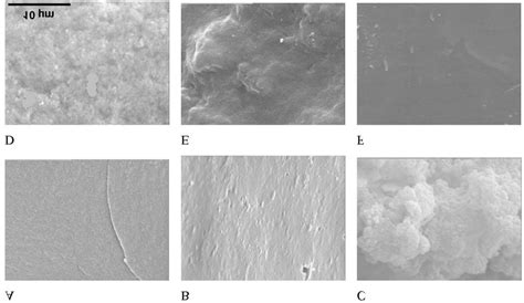 Polysilsesquioxanes with/without porphyrins obtained by SEM. Film ...