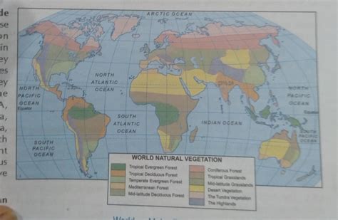 Temperate Deciduous Forest In World Map - United States Map