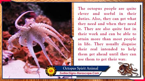 Octopus Spirit Animal: Totem, Meaning, Symbolism and Dreams | ZSH