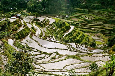 Banaue Rice Terraces - A National Cultural Treasure in Ifugao - Go Guides