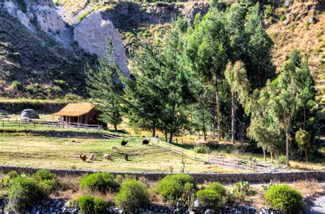 Colca Lodge: Luxury Hotel in Peru's Colca Canyon | LANDED Travel