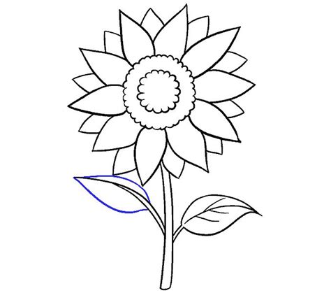 How to Draw a Sunflower - Really Easy Drawing Tutorial | Easy drawings ...