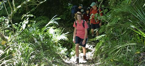 Two and a Half Day Private Abel Tasman Hiking Adventure | GUIDED LUXURY ...