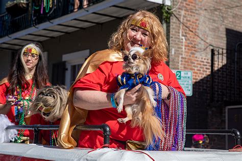 Photos: Krewe Of Barkus 2019 – Via Nola Vie