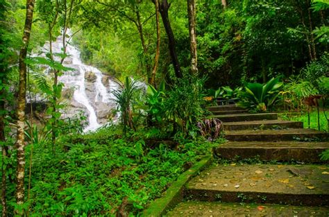 Premium Photo | Ngao waterfall, ngao national park ,ranong province ...