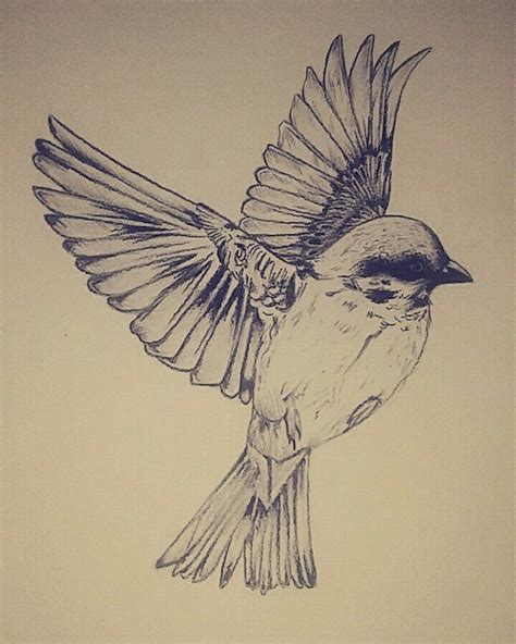 Bird in flight pencil drawing | Bird drawings, Flying bird drawing ...