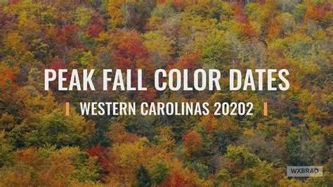 When fall leaves will look their best in North Carolina | wcnc.com