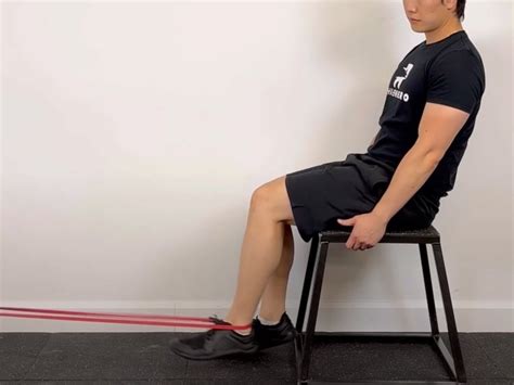 Seated Hamstring Curl — Rehab Hero