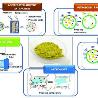 Effect of extraction processes on the structure of dried olive pomace ...