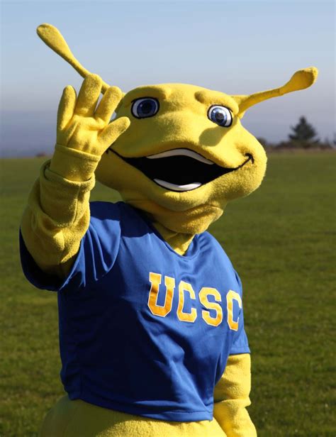 Sammy the Slug of the University of California at Santa Cruz #nbcsports