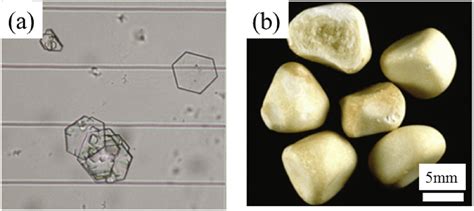 Optical images of (a) cystine crystallites in urine and (b) of cystine ...