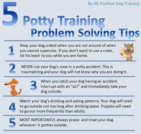 Pin by Cat Training Tips on Puppy Potty Training | Puppy potty training ...