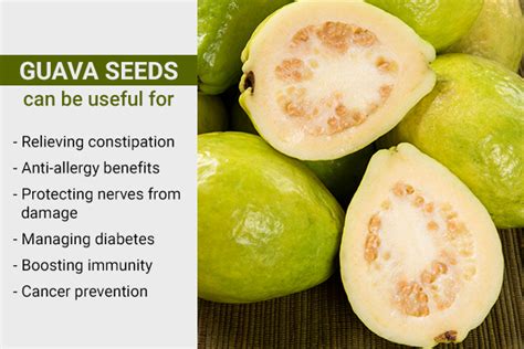 Are Guava Seeds Hard to Digest? - eMediHealth