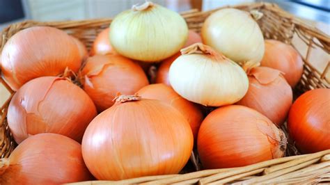 5 Ways to Store Onions for Long Term (Weeks, Months, or 1 Year) 🧅 by ...