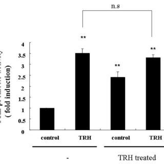 Luteinizing hormone releasing hormone (LH-RH) and thyrotropin-releasing ...