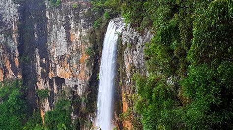 Purling Brook Falls - Springbrook National Park - Rainforest Tours ...