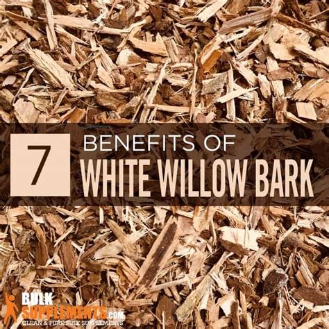 White Willow Bark Extract: Benefits, Side Effects & Dosage