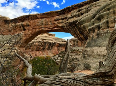 Natural Bridges National Monument - Beyond