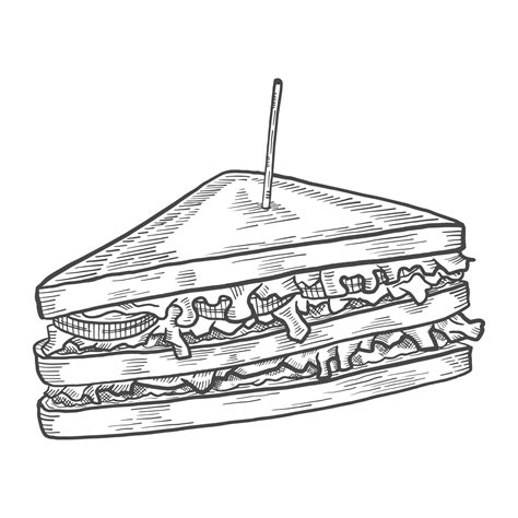 Sandwich Outline Vector Art, Icons, and Graphics for Free Download