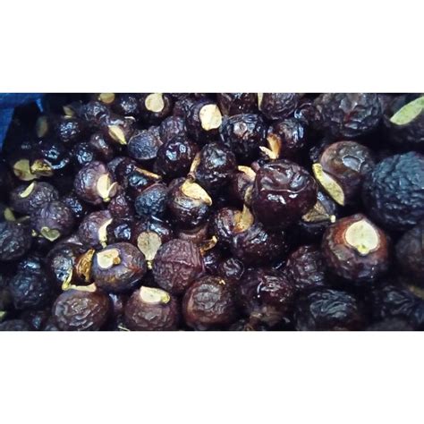 Jual Buah Lerak | Shopee Indonesia