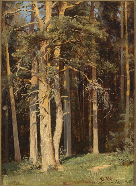 Ivan Shishkin, SIVERSKAYA (EDGE OF THE FOREST), 1881 | Gallery 19C