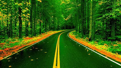 The Green Road Gallery, 3D Road HD wallpaper | Pxfuel