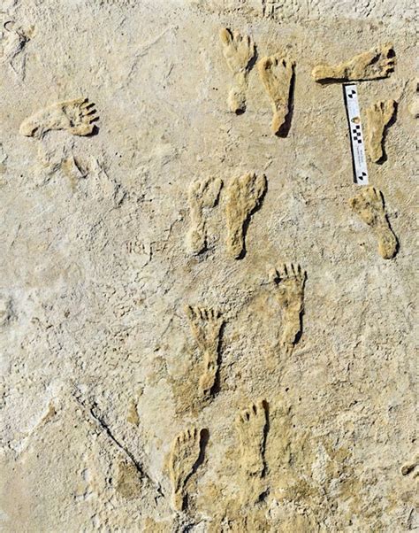 Ancient footprints White Sands New Mexico 23,000 years old