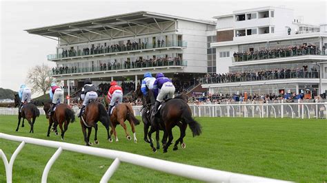 Wetherby Racecourse - Guide, Fixtures, Betting & Tips - 2023