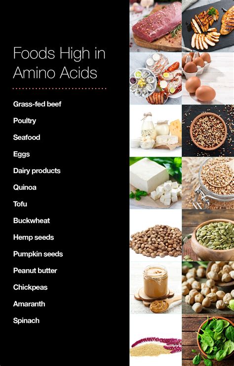 Consume Foods Rich in Amino Acids to Boost Immune System