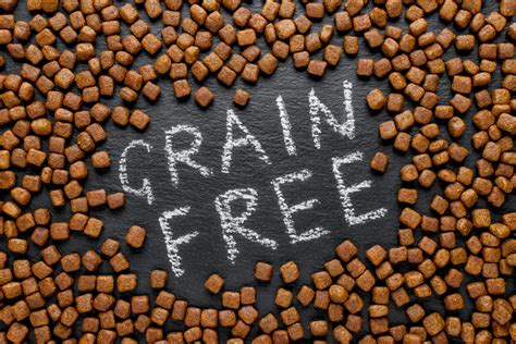 Update on Grain-Free Dog Food and Heart Disease | Oakland Veterinary ...