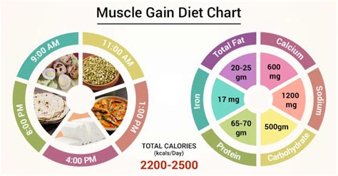 Muscle Building Nutrition Guide | Besto Blog