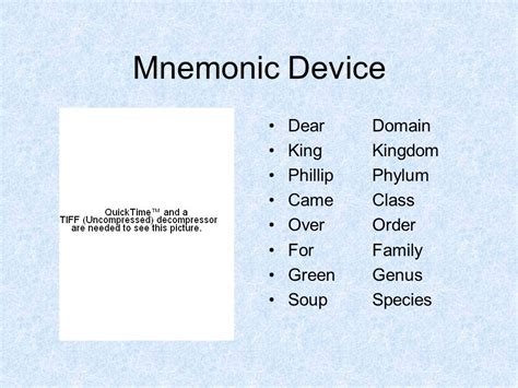 Taxonomy | Definition , Hierarchy & Examples