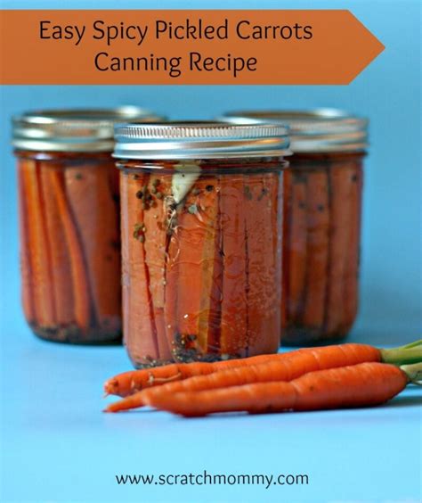 Easy Spicy Pickled Carrots Canning Recipe - Scratch Mommy