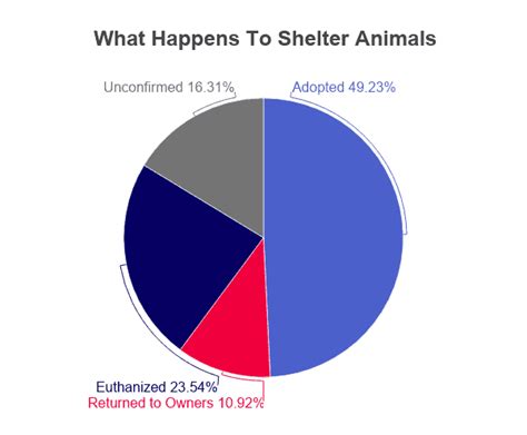 Animal Shelter Statistics [2020]: Facts & Data by Year