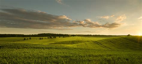 Empty Field At The Sunset Stock Photo - Download Image Now - iStock