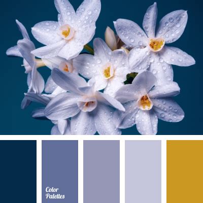 What Color Goes With Grey Blue | Psoriasisguru.com