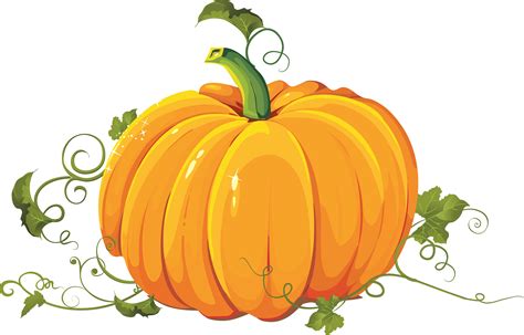 Pumpkin Clipart Transparent Background - cyberuse