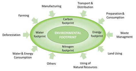 Determinants of the environmental footprint in the agri-food sector ...