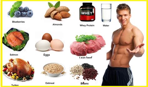 The Top 8 Foods For Muscle Building – all-bodybuilding.com