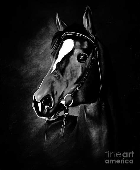 Black and white horse face Painting by Gull G - Fine Art America