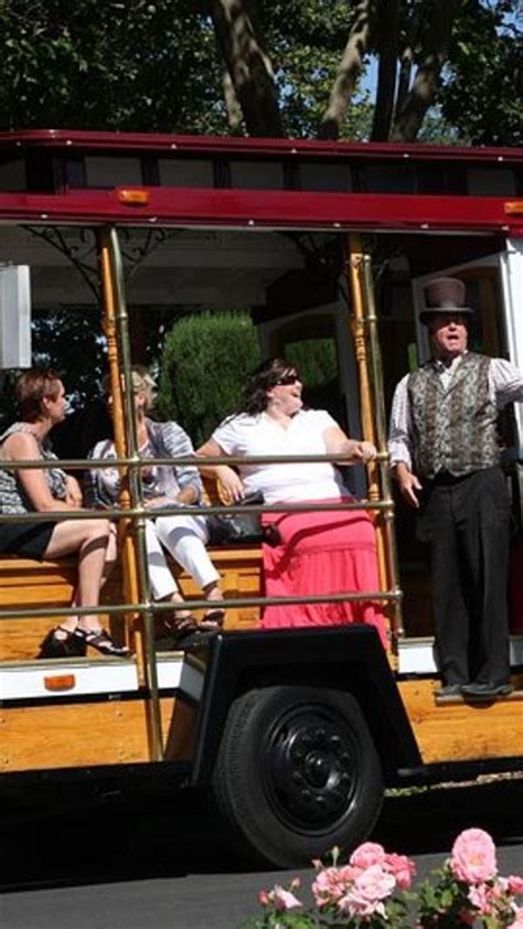 Napa Valley Wine Trolley Tour with Lunch Sonoma | Napa valley wine ...