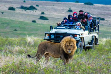 South African Safari with Kids near the Garden Route - Trekaroo Family ...