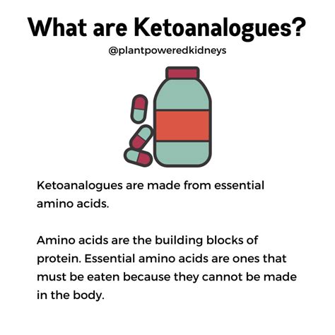 Ketoanalogues: What They Are & How They Help Kidney Function