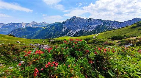 Spring in mountains, wildflowers, hills, grass, sky, flowers, beautiful ...