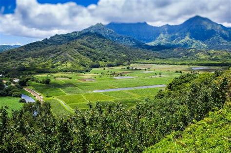 Hanalei Valley Lookout - All You Need to Know BEFORE You Go - Updated ...