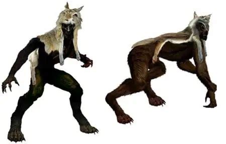 Skinwalkers: Navajo Shapeshifters of the Southwest